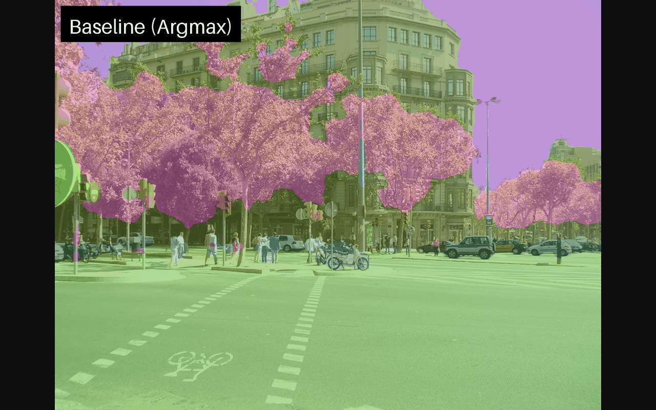 如果你做过 segmentation，可能默认用了太久 argmax